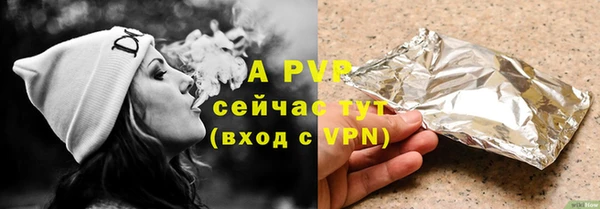 сатива Аркадак