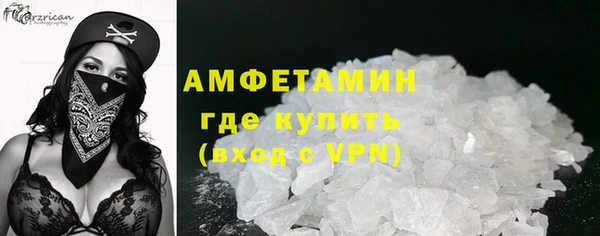 сатива Аркадак