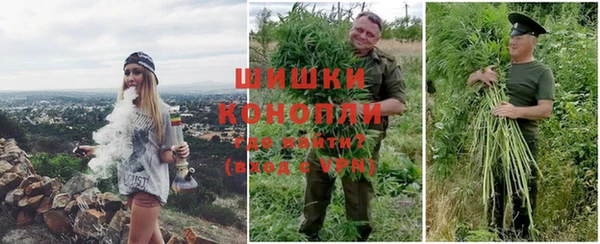 сатива Аркадак