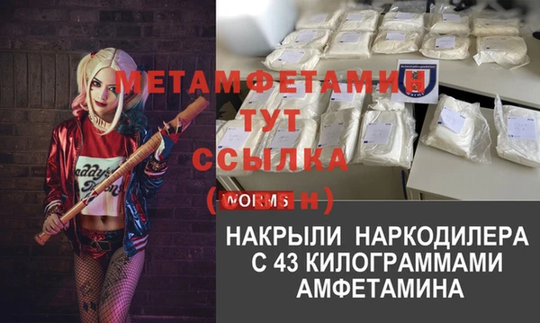 сатива Аркадак