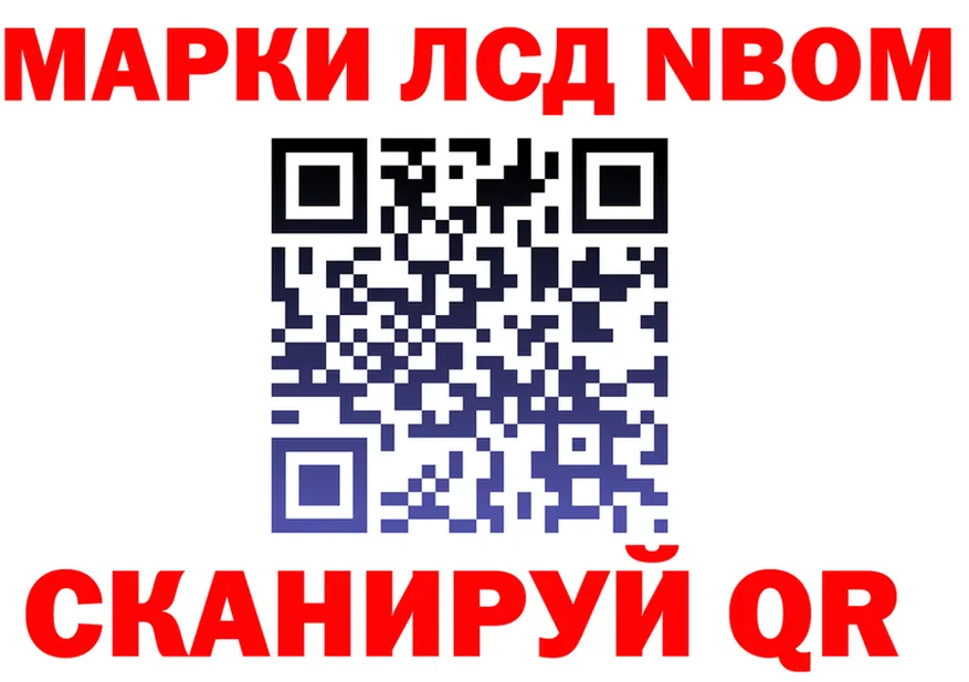 Альфа ПВП СК КРИС маркетплейс площадка KRAKEN Зима