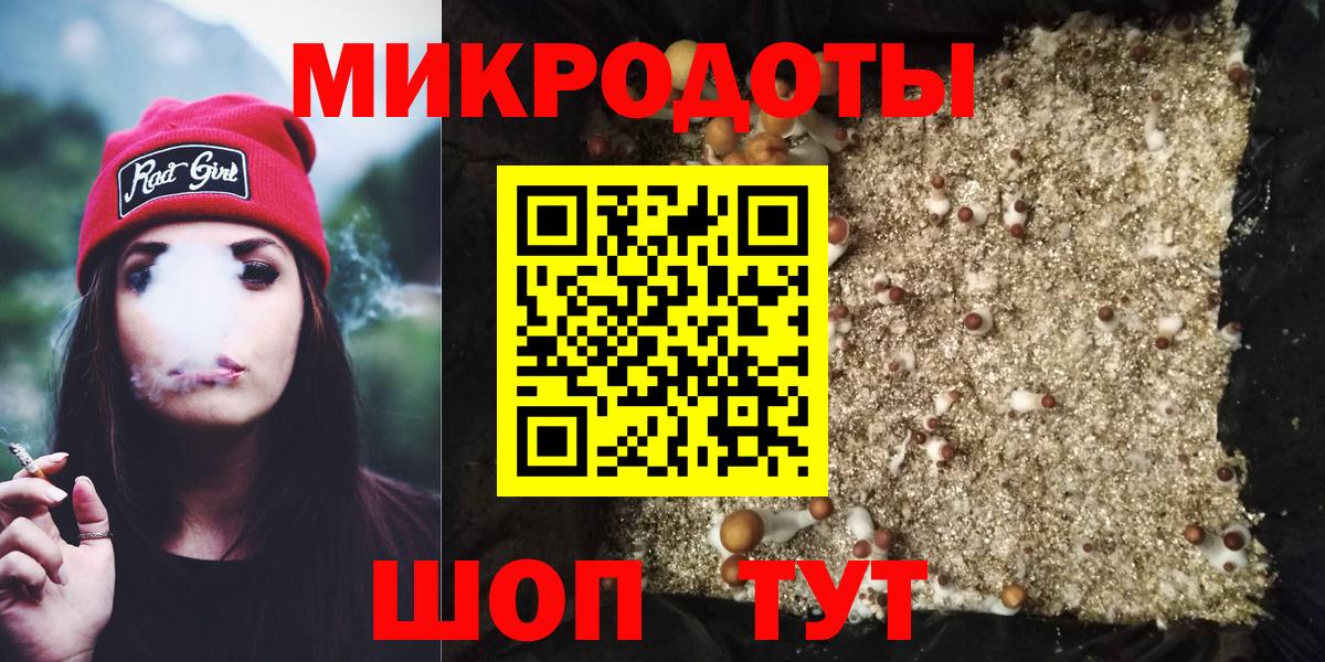 Псилоцибиновые грибы GOLDEN TEACHER  Вход с VPN  Зима 