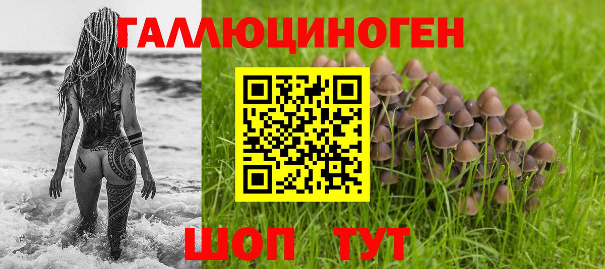 Галлюциногенные грибы ЛСД Зима